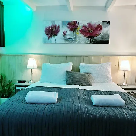 At * أمستردام